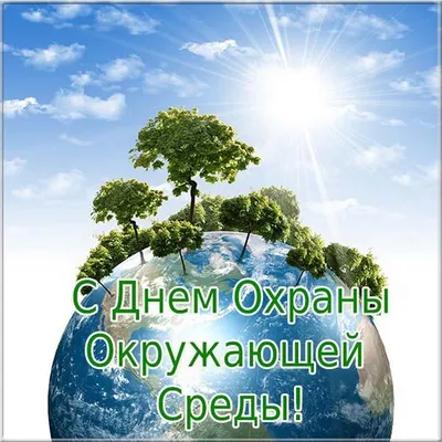 День эколога — когда и какого числа отмечают в 2024 и 2025 году. Дата и  история праздника — Мир космоса