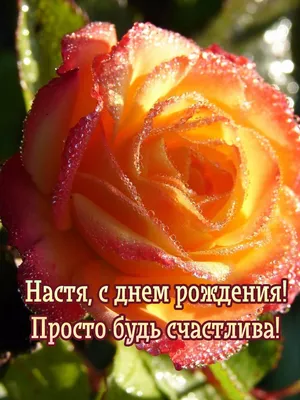 Открытки "Настя, Анастасия, с Днем Рождения!" (100+)