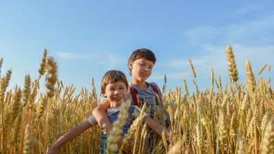 Поздравления с днем рождения брату: красивые пожелания в стихах, прозе,  картинках - Телеграф