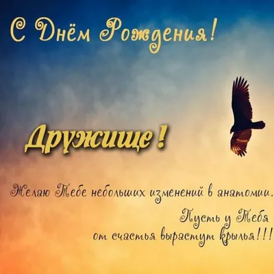 Поздравления с днем рождения другу от подруги: красивые пожелания - Телеграф