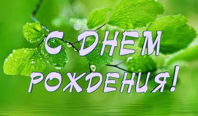 Кирилл, с Днём Рождения: гифки, открытки, поздравления - Аудио, от Путина,  голосовые