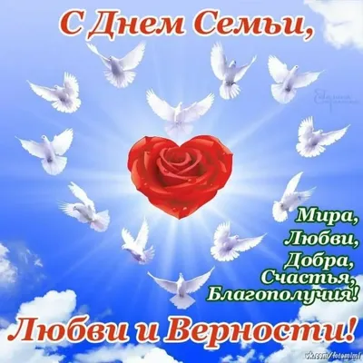 В Мурманске отметят День семьи, любви и верности | Новости | Администрация  города Мурманска - официальный сайт