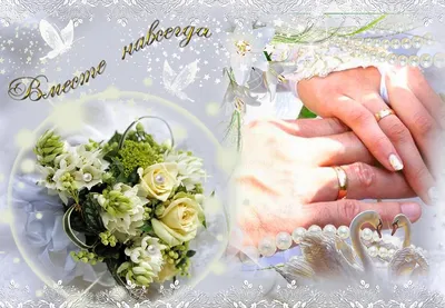 Фиолетовые розы: поздравления в день свадьбы - инстапик | Свадебные  поздравления, Свадебные пожелания, Свадебные открытки