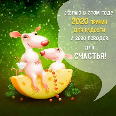 В Чувашии стартует флешмоб новогодних поздравлений «Новый год на ЧУВАШСКОМ»  | Министерство образования Чувашской Республики
