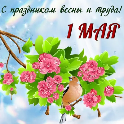 Поздравляем с Майскими праздниками! - СПК ЭЛЕКТРИК - 
