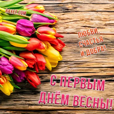 С НАЧАЛОМ ВЕСНЫ! Невероятное поздравление на первый день весны. Музыкальная  видео открытка #shorts - YouTube