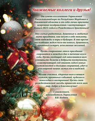 Поздравляем с наступающим католическим Рождеством Христовым! | Новости и  события | РСУП Олекшицы — производитель молочной и мясной продукции в  Беларуси (Гродненская область)