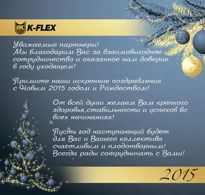 С НОВЫМ 2015 ГОДОМ !