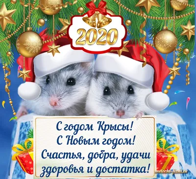 Поздравление со старым Новым годом – 2022: красивые открытки, стихи и  пожелания - 