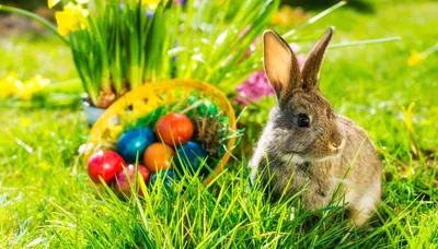 FROHE OSTERN! 🐇🐣 Урок из цикла "Немецкие праздники" - YouTube