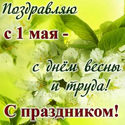 Примите самые тёплые поздравления с наступающим 1 МАЯ – Днём Весны и Труда!  » Волгоградские профсоюзы
