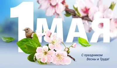 С Днем труда 2021: яркие открытки и поздравления к 1 мая — УНИАН