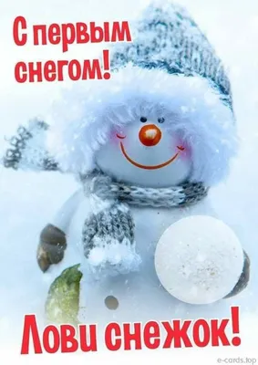 Приветствие с первым снегом в ярких картинках и открытках - Телеграф