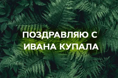 Ивана Купала 2023: поздравления в прозе и стихах, картинки на украинском —  Украина