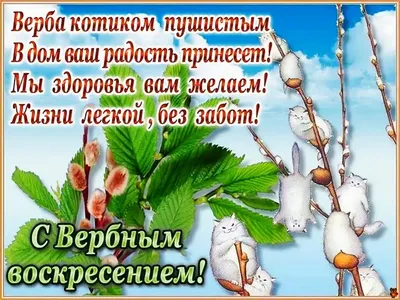 Вербное воскресенье 9 апреля - поздравления, открытки, СМС и стихи к  празднику | Новости РБК Украина