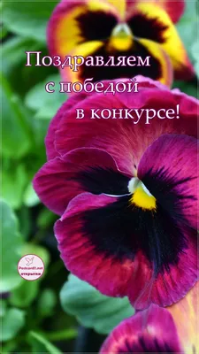 Поздравляем наших ДАЖевцев с победой в I этапе конкурса на лучший орган  ученического самоуправления! | Лицей №28