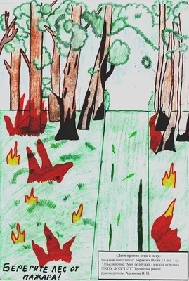 Лесные пожары «тушили» дети в творческом состязании в Биробиджане -  