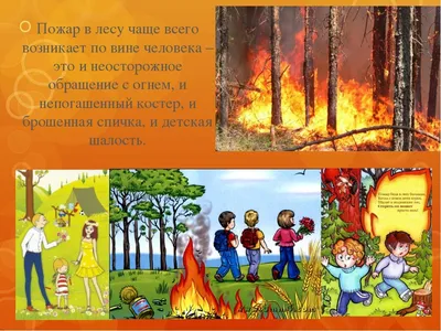 Пожар в лесу картинки для детей - 56 фото