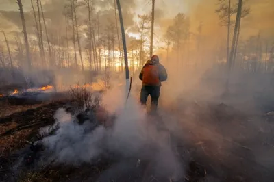 Ход с огнем: в России создали «лыжи» для тушения пожаров | Статьи | Известия
