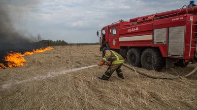 Из-за чего горят леса и сколько стоит их тушить - Российская газета