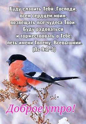 Красивое христианское поздравление с Днём Рождения • Аудио от Путина,  голосовые, музыкальные