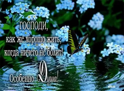 Пожелания хорошего дня в картинках, своими словами, в стихах, в смс и христианские  пожелания доброго дня — Украина