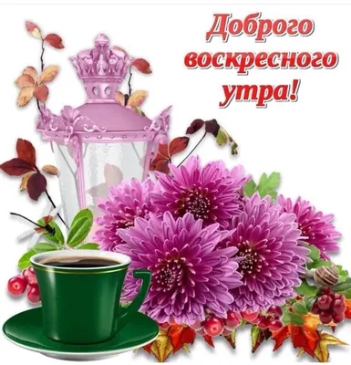 ВОСКРЕСЕНЬЕ! 🌻🐓💐🏠🌿🐓🌻 ДОБРОЕ УТРО! 💗 УДАЧНОГО ДНЯ! 💗 | Открытки,  Благодарственные открытки, Доброе утро