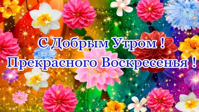 Хорошего воскресенья: картинки с пожеланиями. 55 открыток