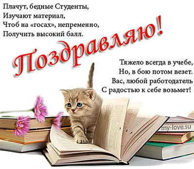 Как деньги? Мы же друзья, я думал ты бесплатно сделаешь. | Записки  "Хорошей" девочки | Дзен