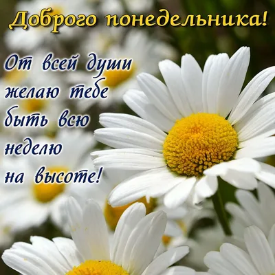 Оптимизма и улыбок в понедельник!... | пожелания, Новости Казахстана -  свежие новости РК КЗ на сегодня | 