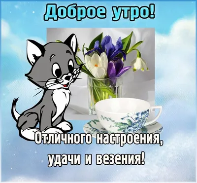 😀 Тебе от меня! Позитивчик для друзей. 🌸 Хорошего дня и отличного  настроения ☕ - YouTube