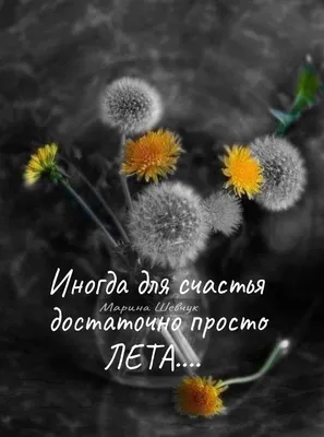 Доброе утро! Безмятежного и счастливого вам дня | Доброе утро, Позитивные  цитаты, Лето