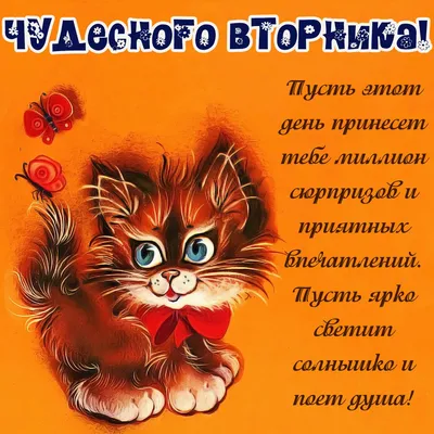 Удачного Вторника! Приветик всем!!! 🌹☕💋🍁💖 в 2023 г | Доброе  утро, Утренние сообщения, Открытки