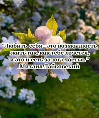 Любовь и радость озаряют мой путь. Аффирмации на любовь, счастливые  отношения и исполнение желаний. | Позитивные мысли, Мысли, Мотивация