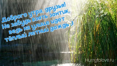 Картинки доброе утро хорошего настроения в любую погоду позитивные (53  фото) » Картинки и статусы про окружающий мир вокруг