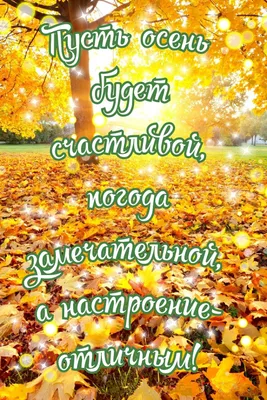 Pin by Жанна on ВРЕМЕНА ГОДА | Good morning greetings, Happy morning, Good  morning