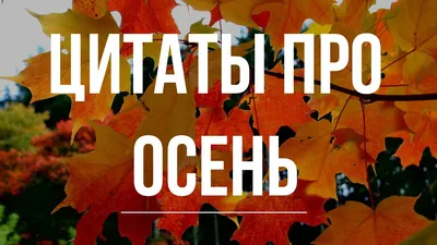 Открытки про осень красивые - фото и картинки: 77 штук