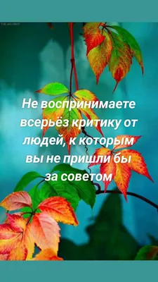 Наша обязанность дарить людям позитивные эмоции | Новости Несвижа |  Нясвіжскія навіны 