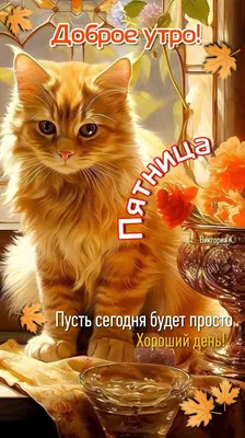 Позитивные животные, которые сделают Ваш день!