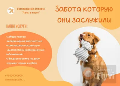 Позитивный оранжевый пост для ветеринарной клиники с собакой породы  новошотландский ретривер | Flyvi
