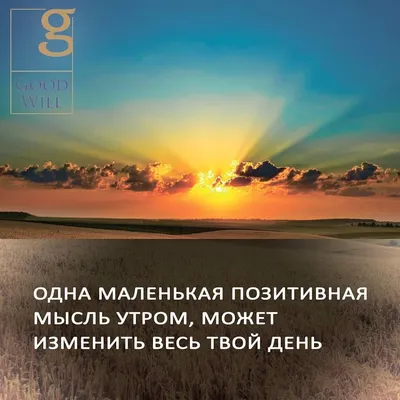 Котики, с которыми не скучно: позитивные высказывания от смешных пушистых |  Позитив.house | Дзен