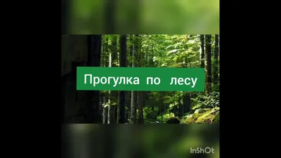 Позитивный настрой, который всегда с тобой. Плюсы | Позитивный Мыслитель |  Дзен