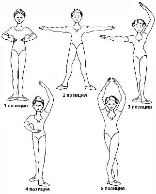 Позиции ног и рук в классическом танце — основы классической хореографии