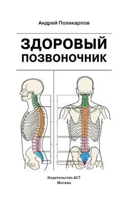 Отзывы о книге «Здоровый позвоночник», рецензии на книгу Андрея  Поликарпова, рейтинг в библиотеке Литрес