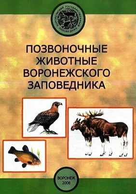 Зоология. У некоторых животных есть позвоночник, а у других нет / Про  педагогику Марии Монтессори