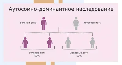 Пол ребенка при ЭКО: можно ли запланировать заранее мальчика или девочку