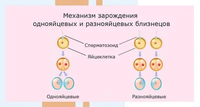 Лучшая поза для зачатия ребенка. Какую позу выбрать? Когда бежать проверять  здоровье? - YouTube