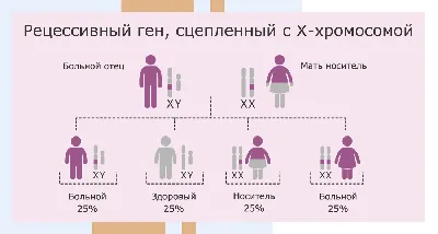 Как зачать мальчика? С точки зрения медицины и религии | Новости  Таджикистана ASIA-Plus