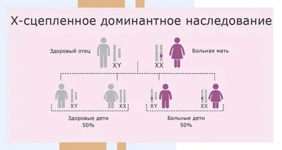 Календарь беременности зачатия на год. Определение пола будущего ребенка по  китайскому лунному календарю. Нюансы использования китайского календаря