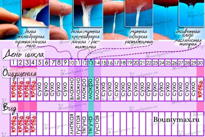 Как зачать мальчика | Я беременна | Дзен